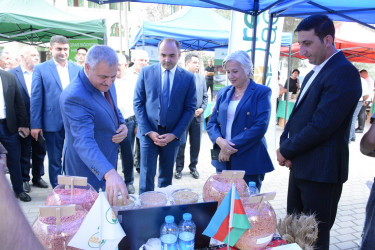 Tərtər rayonunda toxum sərgi-satış yarmarkası və Aqrar Biznes Festivalı keçirilib