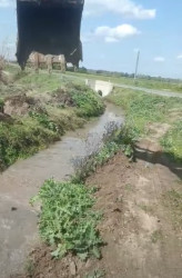 Qaynaq kənd sakinlərinin müraciəti həll olunub