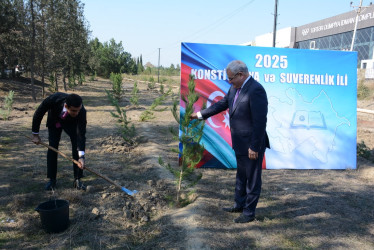 Tərtərdə 8 Noyabr Zəfər Gününün beşinci ildönümü ilə əlaqədar ağacəkmə aksiyası keçirilib