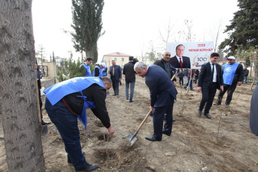 Tərtərdə “Heydər Əliyev ili” çərçivəsində növbəti ağacəkmə aksiyası keçirilib