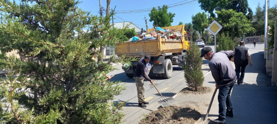 Tərtərdə “Yaşıl dünya naminə həmrəylik ili” çərçivəsində növbəti iməcilik keçirilib