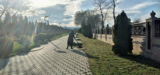 Tərtər şəhəri ərazisində iməclik aksiyası keçirilib