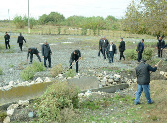 "Yaşıl dünya naminə həmrəylik ili" çərçivəsində Bərdə-Ağdam avtomobil yolunun kənarlarında iməclik keçirilib