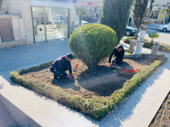 Tərtərdə “Heydər Əliyev İli” çərçivəsində silsilə tədbirlər davam etdirilir