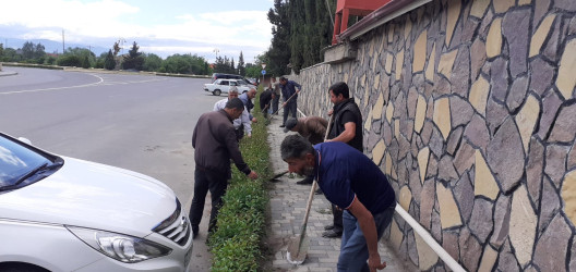 Tərtər şəhəri ərazisində iməclik aksiyası keçirilib