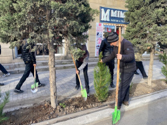 Tərtərdə 20 yanvar faciəsinin 35-ci il dönümü ilə əlaqədar  ağacəkmə aksiyası keçirilib