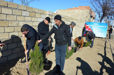 Tərtərdə 31 Dekabr – Dünya Azərbaycanlılarının Həmrəyliyi Günü münasibətilə ağacəkmə aksiyası keçirilib