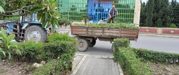 “Yaşıl dünya naminə həmrəylik ili” çərçivəsində Ana abidəsində və Bayraq meydanında  növbəti iməcilik keçirilib