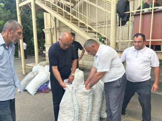 Tərtərdə barama tədarükünə başlanılıb