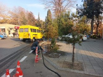 Tərtər şəhəri ərazisində növbəti iməclik aksiyası keçirilib