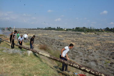 Tərtərdə “Heydər Əliyev İli” çərçivəsində növbəti iməcilik keçirilib