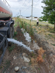 Tərtər şəhəri ərazisində növbəti iməclik aksiyası keçirilib