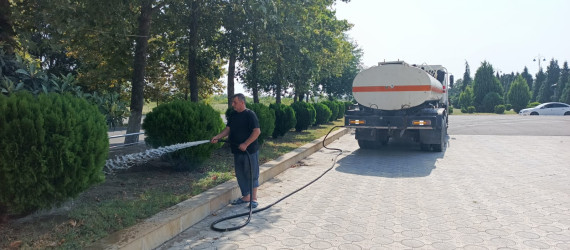 Tərtər şəhəri ərazisində iməclik aksiyası keçirilib