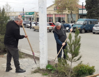 Tərtər şəhəri ərazisində iməclik aksiyası keçirilib