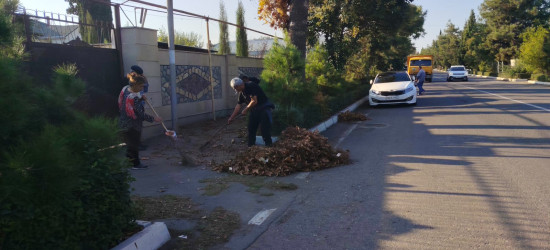Tərtər şəhəri ərazisində iməclik aksiyası keçirilib