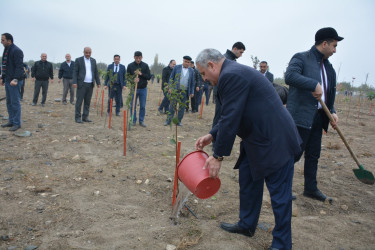 Yeni Azərbaycan Partiyasının təsis edilməsinin  30 illiyi ilə əlaqədar Tərtərdə  ağacəkmə aksiyası keçirilib