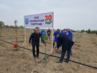 Yeni Azərbaycan Partiyasının təsis edilməsinin  30 illiyi ilə əlaqədar Tərtərdə  ağacəkmə aksiyası keçirilib