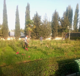 Tərtər şəhəri ərazisində növbəti iməclik aksiyası keçirilib