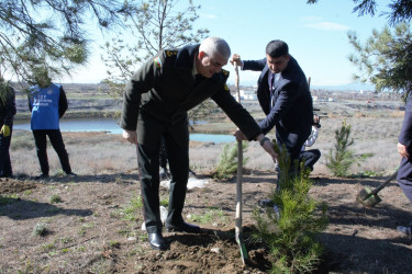 Tərtərdə “Şəhərsalma və Memarlıq İli” çərçivəsində Xocalı soyqrımının 34-cü il dönümü ilə əlaqədar ağacəkmə aksiyası keçirilib