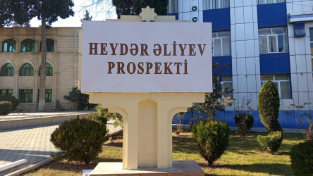 Tərtər çayının yatağında iməclik aksiyası keçirilib
