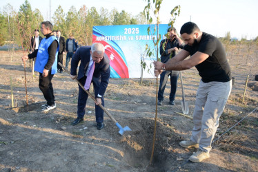 Tərtərdə “Konstitusiya və Suverenlik İli” çərçivəsində 8 Noyabr Zəfər Gününün beşinci ildönümü ilə əlaqədar növbəti ağacəkmə aksiyası keçirilib