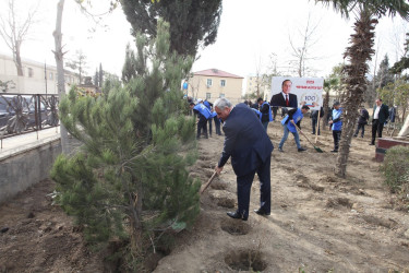 Tərtərdə “Heydər Əliyev ili” çərçivəsində növbəti ağacəkmə aksiyası keçirilib