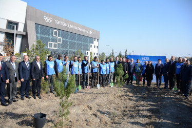 Tərtərdə Yeni Azərbaycan Partiyasının təsis edilməsinin 33-cü ildönümü münasibətilə ağacəkmə aksiyası keçirilib