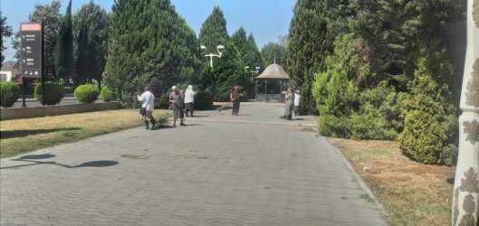 Tərtər şəhəri ərazisində iməcilik aksiyası keçirilib