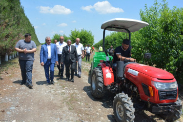 Tərtər Rayon İcra Hakimiyyətinin başçısı "Aqropat" MMC-nin intensiv meyvə bağları və müasir suvarma infrastrukturu ilə tanış olub