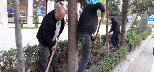 Tərtər şəhəri ərazisində iməclik aksiyası keçirilib