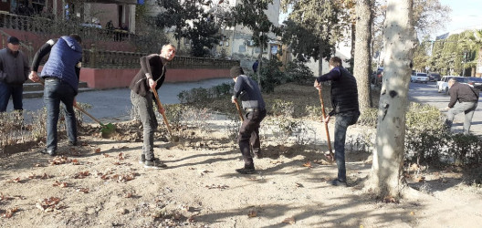 Tərtər şəhəri ərazisində növbəti iməclik aksiyası keçirilib
