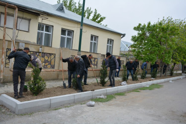 “Heydər Əliyev ili” çərçivəsində Tərtərdə növbəti ağacəkmə aksiyası keçirilib