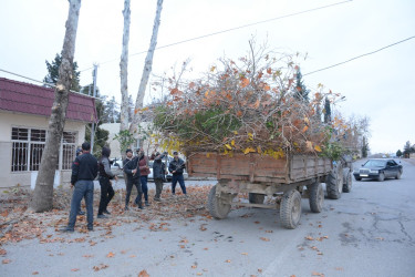 Tərtər qışa hazırdı