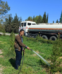 Tərtər şəhəri ərazisində iməclik aksiyası keçirilib