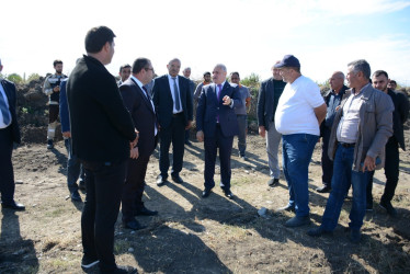Tərtər rayonunda pambıq yığımına start verilib