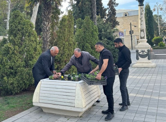 Tərtərdə “Konstitusiya və Suverenlik İli” çərçivəsində Ulu Öndərin anadan olmasının 102-ci ildönümü ilə əlaqədar gül-çiçək kolları əkilib