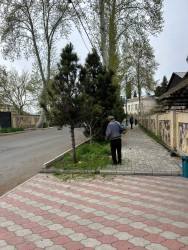 Tərtər şəhəri ərazisində iməclik aksiyası keçirilib