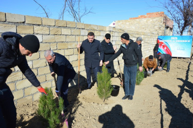 Tərtərdə 31 Dekabr – Dünya Azərbaycanlılarının Həmrəyliyi Günü münasibətilə ağacəkmə aksiyası keçirilib
