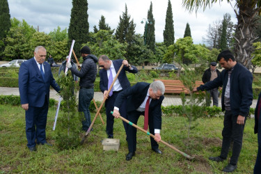 Tərtərdə “Şəhərsalma və Memarlıq İli” çərçivəsində Ulu Öndərin anadan olmasının 103-cü ildönümü ilə əlaqədar ağacəkmə aksiyası keçirilib