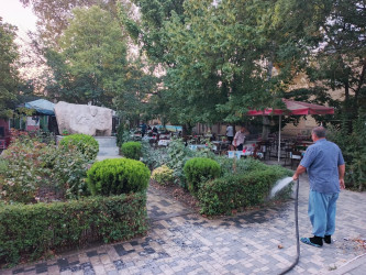Tərtər şəhəri ərazisində iməclik aksiyası keçirilib