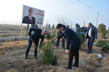 Tərtərdə Ulu Öndər Heydər Əliyevin anım günü ilə əlaqədar ağacəkmə aksiyası keçirilib