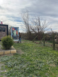 Əskipara kəndində ağacəkmə və təmizlik aksiyası keçirilib