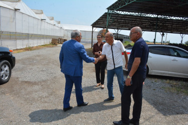 Rayon rəhbəri sahibkar Zəfər Nəsirovun müasir istixana kompleksi ilə tanış olub