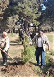 Tərtərdə "Yaşıl dünya naminə həmrəylik ili" çərçivəsində növbəti ağacəkmə aksiyası Borsunlu kəndi ərazisində keçirilib