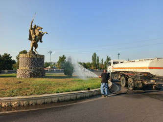Tərtər şəhəri ərazisində iməcilik aksiyası keçirilib
