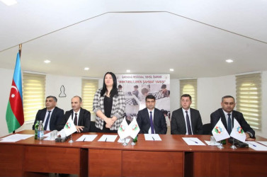 Tərtər rayonunda məktəbli qızlar arasında şahmat üzrə rapid turnir keçirilib