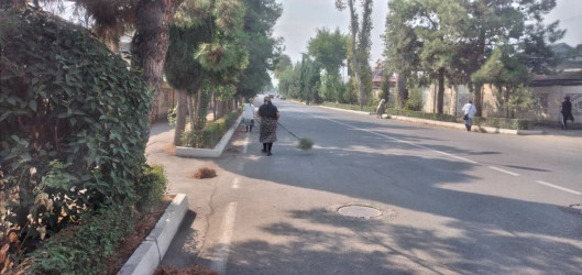 Tərtər şəhəri ərazisində iməcilik aksiyası keçirilib