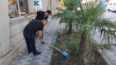 Tərtər şəhəri ərazisində növbəti iməclik aksiyası keçirilib