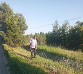 Tərtər şəhəri ərazisində növbəti iməclik aksiyası keçirilib