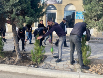 Tərtərdə 20 yanvar faciəsinin 35-ci il dönümü ilə əlaqədar  ağacəkmə aksiyası keçirilib